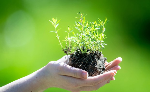 Ekopoukładani - stołeczny ratusz zachęca do recyclingu