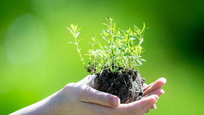 Ekopoukładani - stołeczny ratusz zachęca do recyclingu