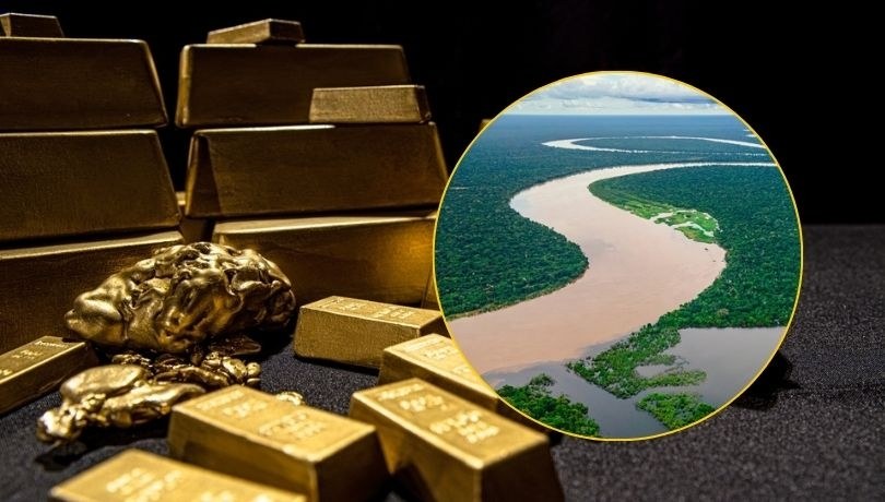 ekordowa konfiskata złota w Brazylii. Policja przechwytuje ponad 140 kg kruszcu z nielegalnych kopalń w Amazonii /Shutterstock