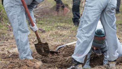 Ekshumacje na Wołyniu. Ukraina mówi o możliwym terminie