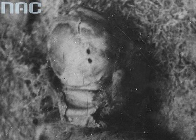 Ekshumowane zwłoki ofiary NKWD. Widoczne otwory wlotowe pocisków w tyle czaszki /Z archiwum Narodowego Archiwum Cyfrowego