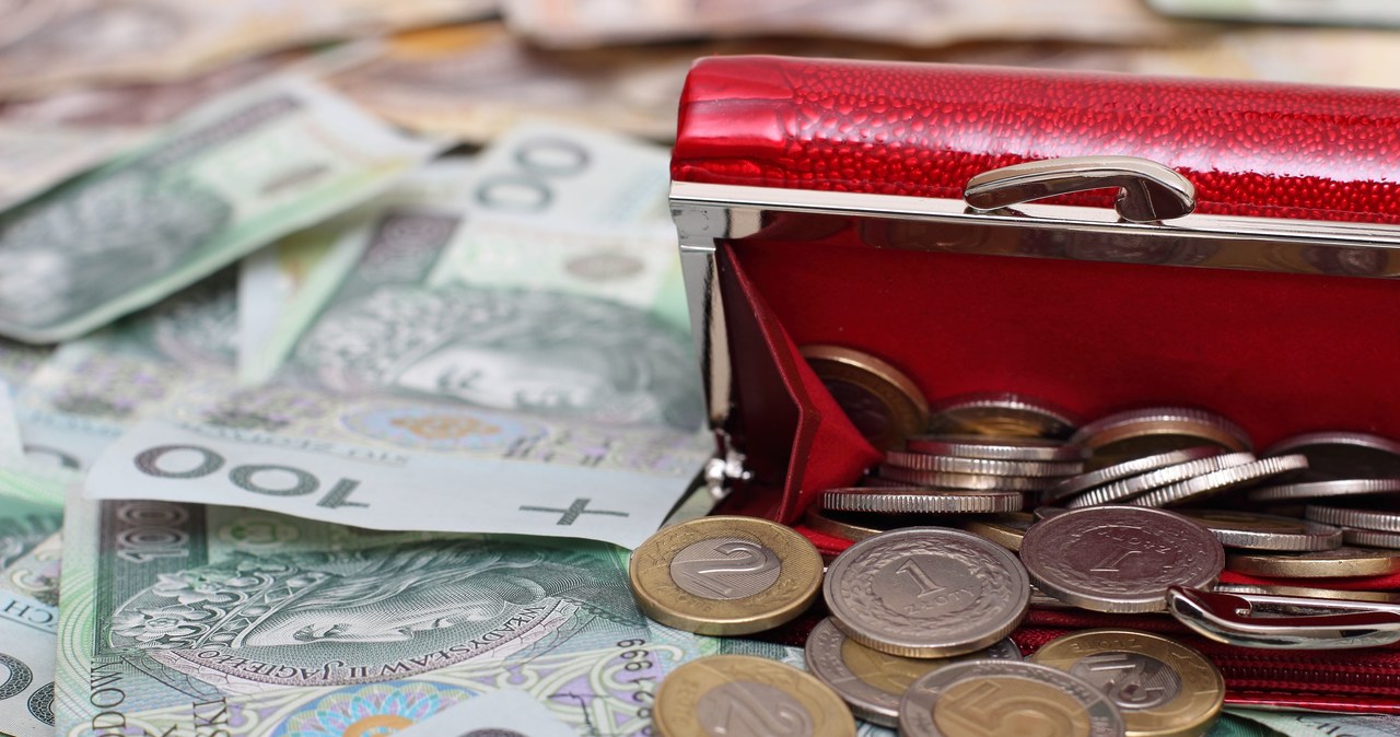 Eksperci oszacowali, że gdyby w ostatnich latach pensje rosły równie szybko jak wydajność, dziś przeciętne wynagrodzenie byłoby o 1000 złotych wyższe /123RF/PICSEL