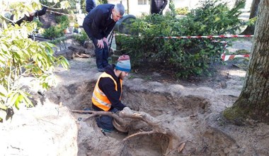 Eksperci z IPN odnaleźli urny z prochami Polek