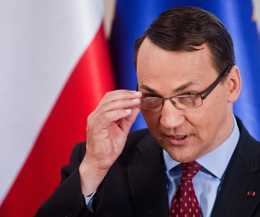 Ekspert: Georgiewa za Ashton? Sikorskiemu spełnia warunki, ale...