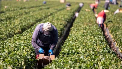 Ekspert: Jeżeli zamkniemy się na imigrantów, to będziemy mieć duże problemy, żeby zapewnić wzrost gospodarczy