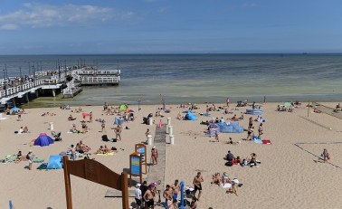 Ekspert: Kąpiel w wodzie z sinicami może uszkodzić nerki i wątrobę