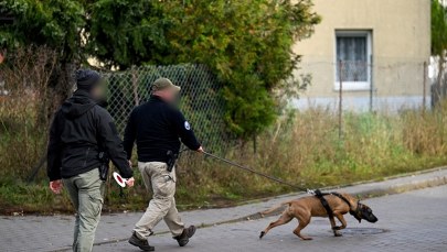 ​Ekspert o poszukiwaniach Borysa: Może przetrwać w lesie wiele miesięcy