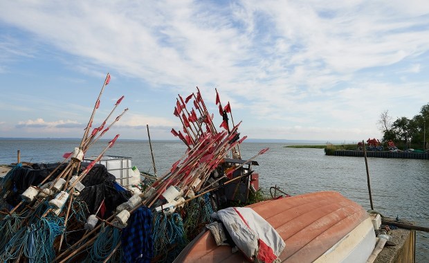 Ekspert o przekopie Mierzei Wiślanej: Czarna perspektywa dla sandacza