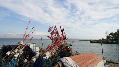 Ekspert o przekopie Mierzei Wiślanej: Czarna perspektywa dla sandacza