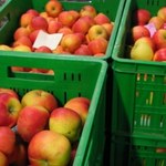 Ekspert ostrzega: W tym roku wzrosną ceny owoców