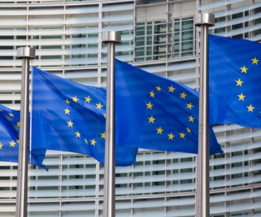 Ekspert: Unijny plan cięcia emisji to ryzyko dla krajów Europy Środkowej i Wschodniej