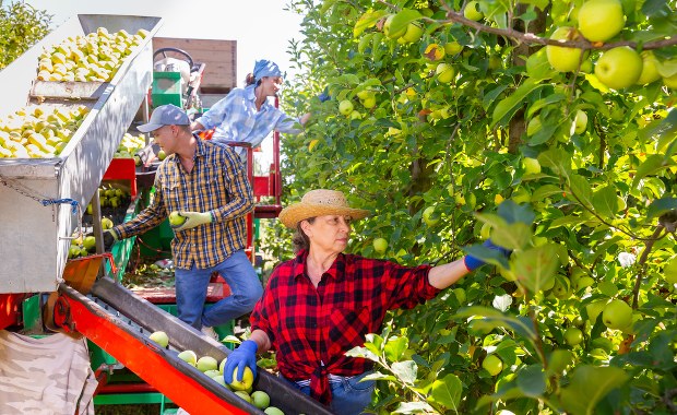 Ekspert: W UE zaczyna brakować rąk do pracy w rolnictwie