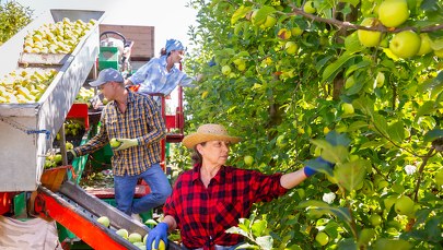 Ekspert: W UE zaczyna brakować rąk do pracy w rolnictwie
