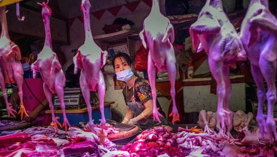 Ekspert WHO: Nie zalecamy zamykania targów z żywymi zwierzętami