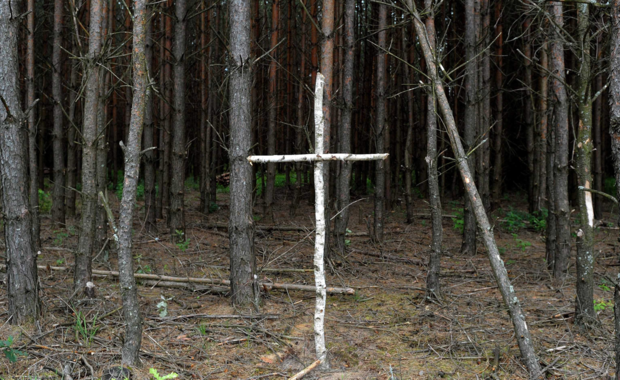 Ekspert ws. Wołynia: Być może początek przełomu, poznamy to po efektach