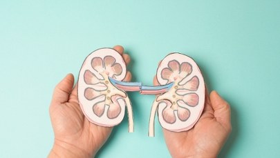 Ekspert: Żeby dbać o nerki, trzeba dbać o cały organizm