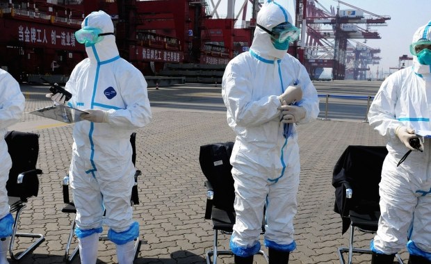 Eksperymentalna bitwa z wirusem Zika na wyspie Marlona Brando