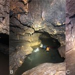 Eksplorowali zalaną jaskinię. Odkryli szczątki, których nie powinno tam być