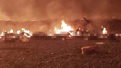 Eksplozja ropociągu w Meksyku. "Znaleziono 20 zwęglonych ciał"