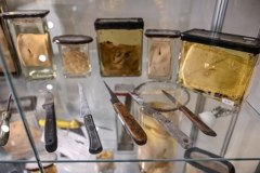 Eksponaty w Muzeum Medycyny Sądowej Uniwersytetu Medycznego