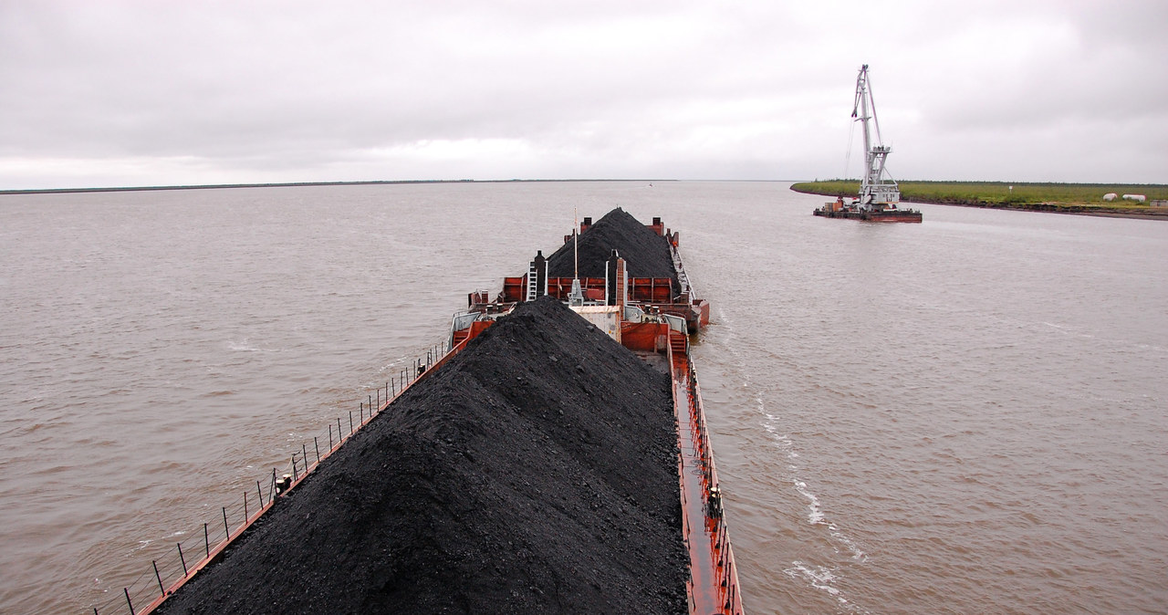 Eksport rosyjskiego węgla do Indii wyhamował /123RF/PICSEL