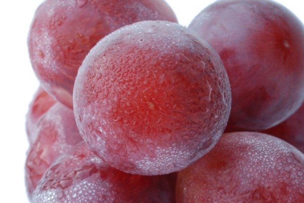 Ekstrakt z czerwonych winogron może być ratunkiem dla narkomanów /123RF/PICSEL