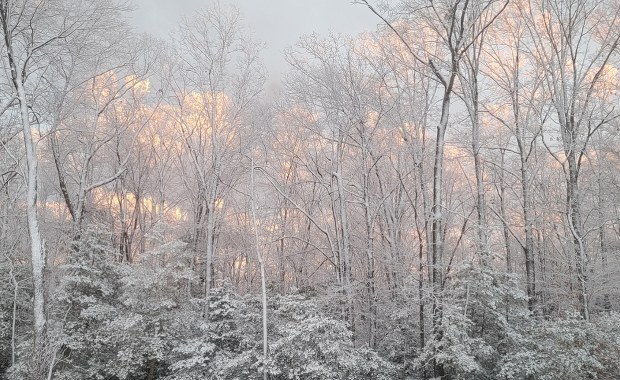 Ekstremalne mrozy w Kanadzie. Czy Europie grozi podobny atak zimy?