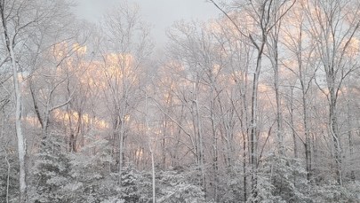 Ekstremalne mrozy w Kanadzie. Czy Europie grozi podobny atak zimy?