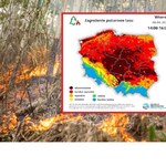 Ekstremalne zagrożenie pożarowe lasów. Wystarczy iskra, by podpalić Polskę