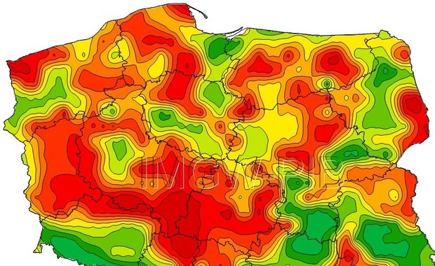 Ekstremalne zagrożenie pożarowe w lasach. IMGW ostrzega