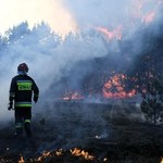 Ekstremalne zagrożenie pożarowe w lasach