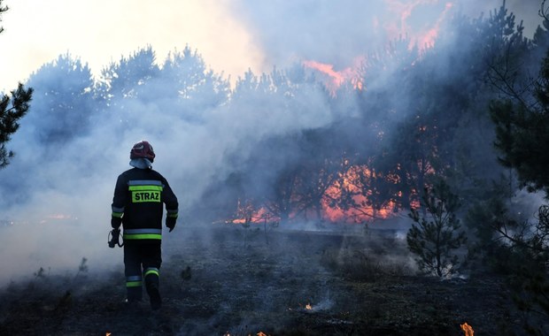 Ekstremalne zagrożenie pożarowe w lasach