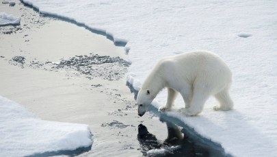 Ekstremalnie małe szanse, że do ocieplenia klimatu doszło bez udziału człowieka