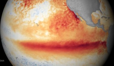 El Niño jest dziś silniejsze niż kiedykolwiek. Tak źle nie było od 1000 lat