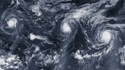 El Niño powraca. Naukowcy ostrzegają przed pogodowym chaosem