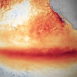 El Niño wpływa na Europę. Nawet rok po zniknięciu