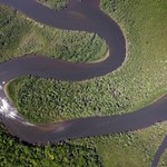 El Niño zabija lasy Amazonii. Drzewa tracą swoją podstawową zaletę