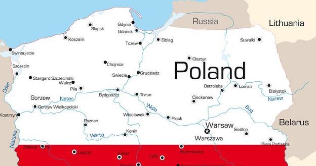 ElectroMobility Poland ogłosi konkurs na samochód elektryczny /Nowy Przemysł