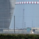 Elektrownia atomowa w Ostrowcu ruszyła
