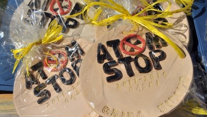 Elektrownia jądrowa w Polsce? Minister energii: Projekt zawieszony 