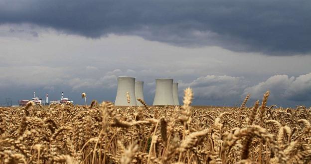 Elektrownie - w Dukovanach i w Temelinie - dostarczają jedną trzecią całej energii w Czechach /AFP