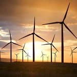 Elektrownie wiatrowe biją kolejne rekordy