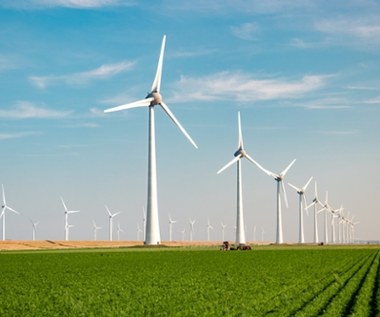 Elektrownie wiatrowe dadzą miliardy. Jaką rolę odgrywają wiatraki w KPO?