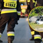 Elektryczne auto uderzyło w drzewo i się zapaliło. Kierowca zginął na miejscu 