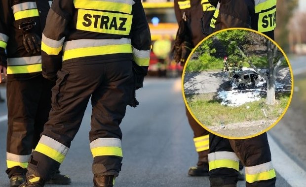 Elektryczne auto uderzyło w drzewo i się zapaliło. Kierowca zginął na miejscu 