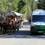 Elektryczne busy nad Morskie Oko kosztowały 3,2 mln zł. I wożą powietrze