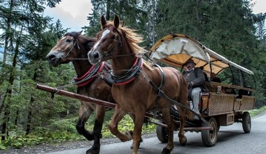 Elektryczne busy zawiozą turystów do Morskiego Oka. Co z transportem konnym?