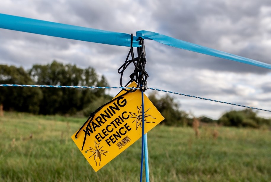 Elektryczny pastuch na niemiecko-polskiej granicy /FILIP SINGER /PAP/EPA
