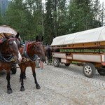 Elektryki zamiast koni. Nowy pomysł na wjazd nad Morskie Oko