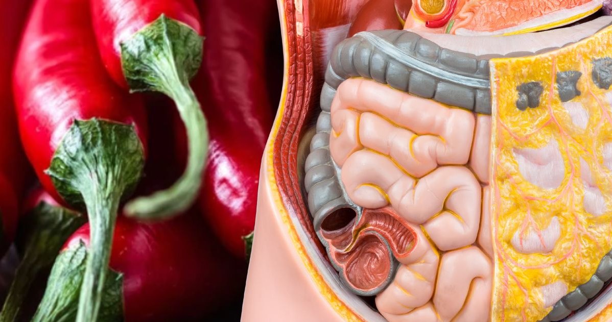 Eliksir zawierający papryczkę chili to istne złoto dla organizmu. Odmładza nasze organy /123RF/PICSEL